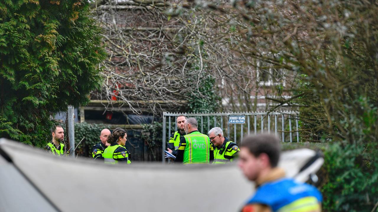 Verdachte (18) Van Dodelijke Steekpartij Bladel Nog Zeker Twee Weken ...