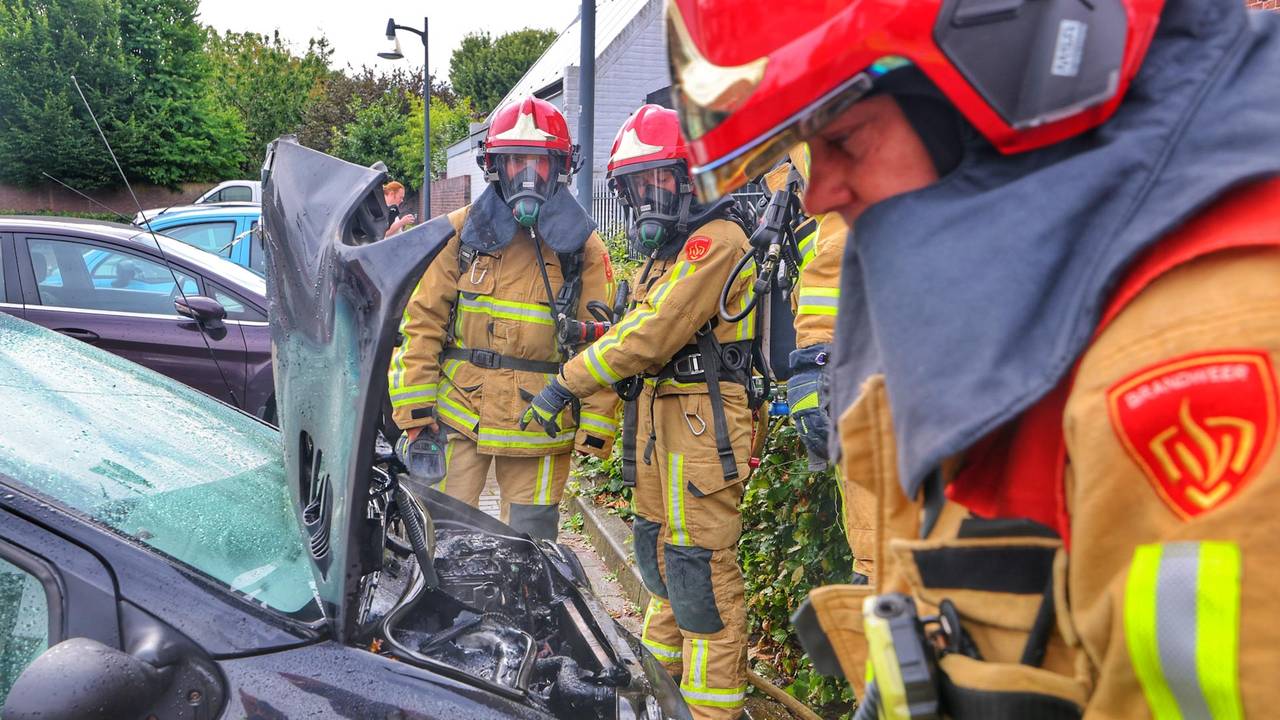 Foto: Rico Vogels/SQ Vision