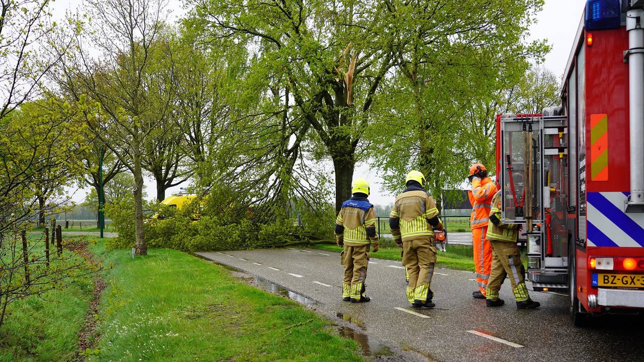 Boom explodeert door blikseminslag: meerdere takken belandden op de weg (foto: Jeroen Stuve/SQ Vision).