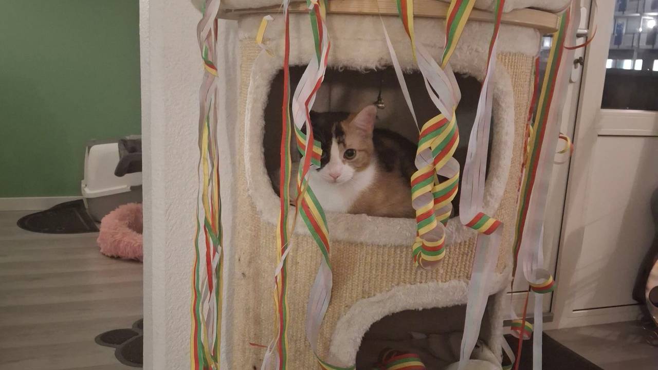 Foto: Wilma Donkelaar/Facebook