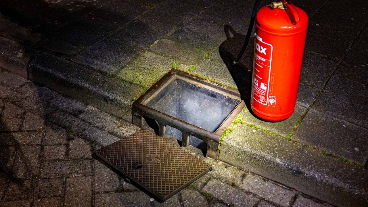 Foto: Harrie Grijseels/SQ Vision