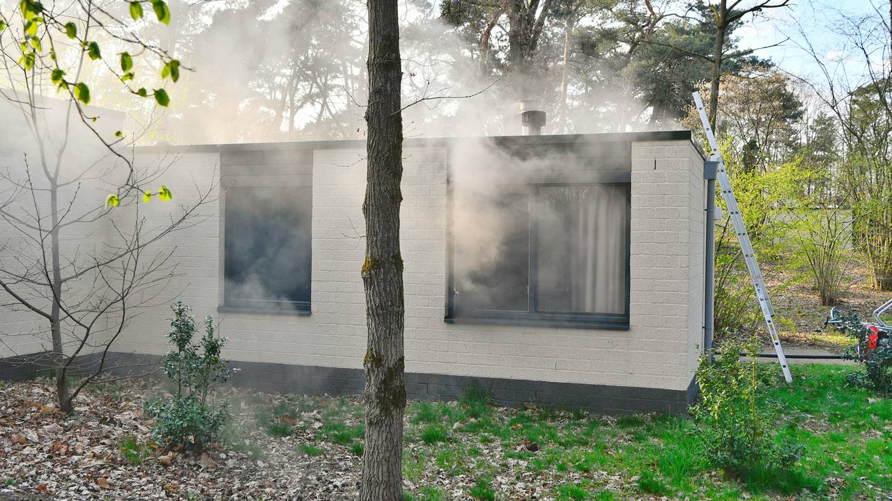 Foto: Rico Vogels / SQ Vision 