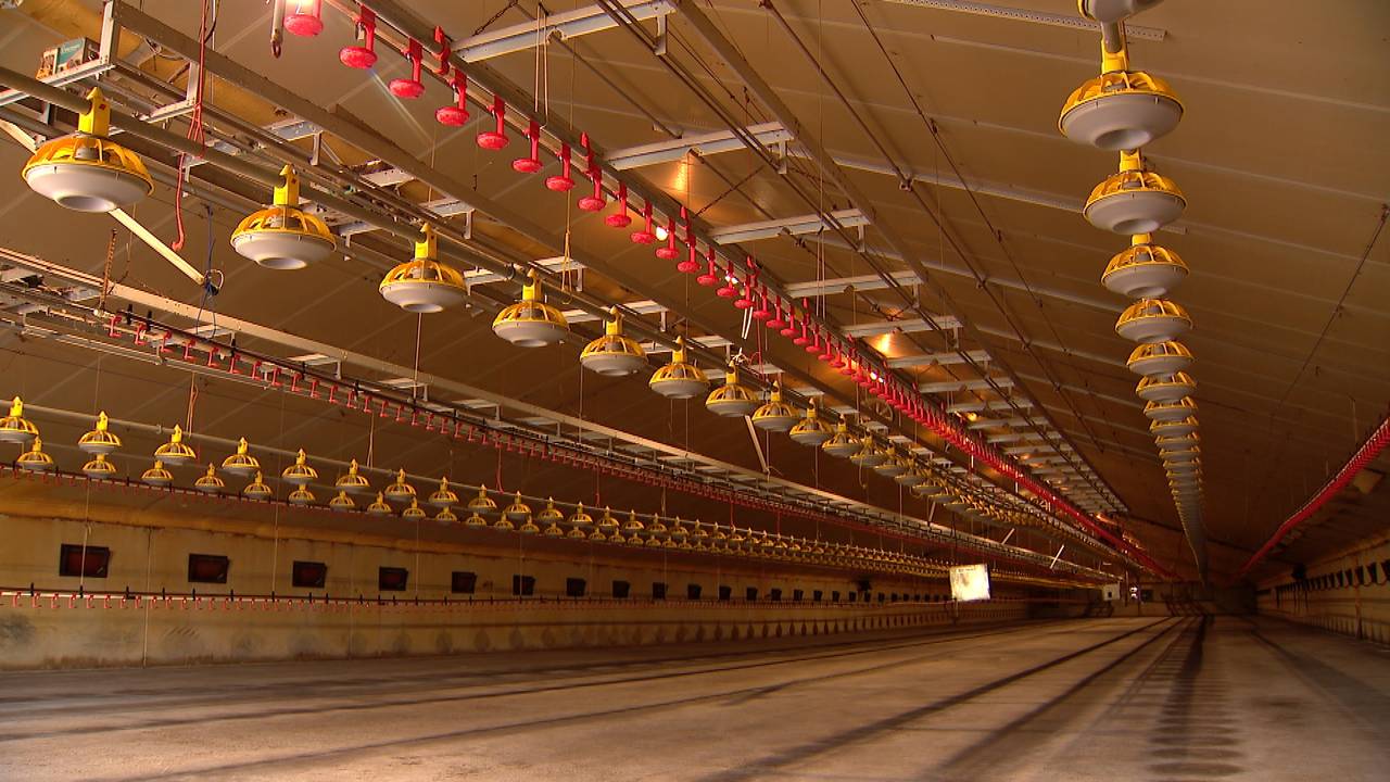 Een lege stal(Archieffoto: Omroep Brabant)