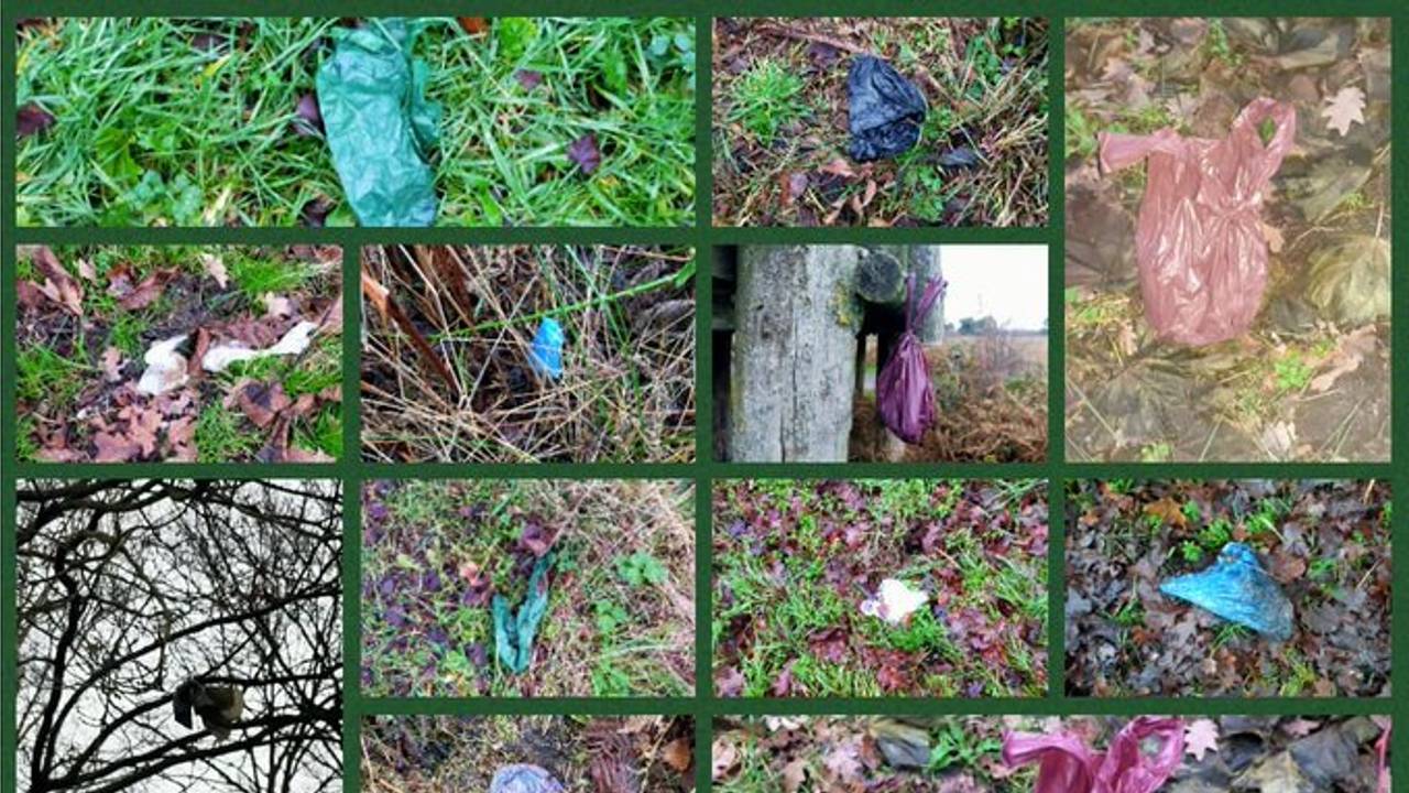 Overal poep (Fotocollage: Lieke Verhoeven).