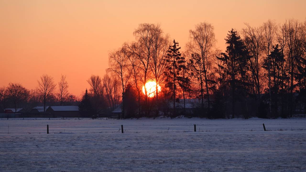 Zonsopkomst in Budel (foto: Ben Saanen).