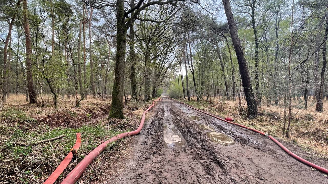 Foto: Imke van de Laar.