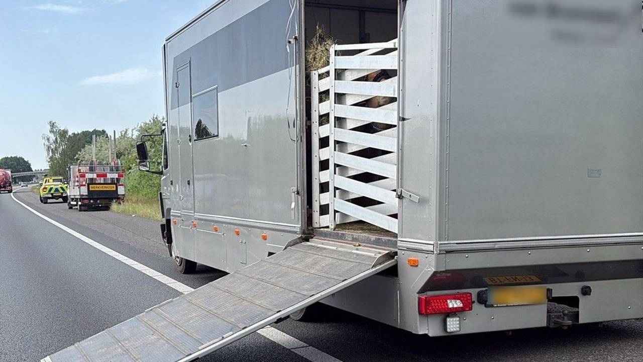 File op A50 bij Oss door paardentrailer met twee lekke banden