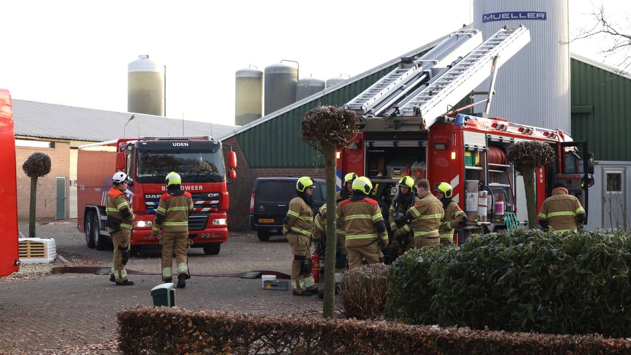 De brandweer op het complex van het melkveebedrijf in Erp (foto: Sander van Gils/SQ Vision).