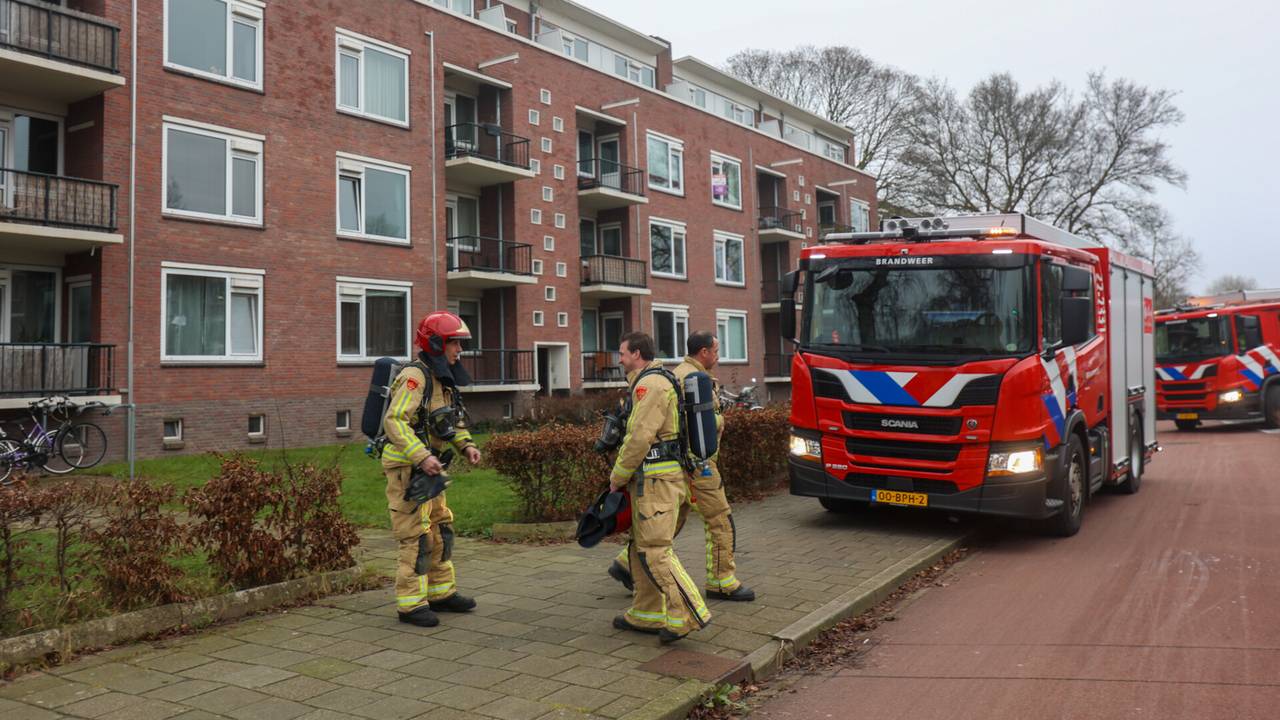 Foto: Arno van der Linden / SQ Vision 