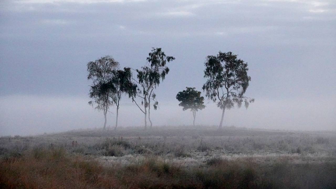 Een nevelige zaterdagochtend in het zuidoosten van Brabant (foto: Ben Saanen).