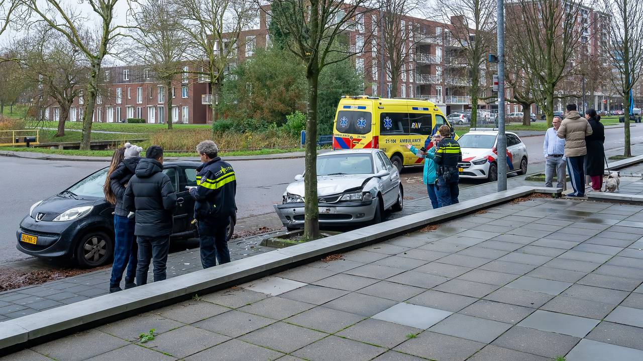 De automobilist verloor door nog onbekende oorzaak de macht over het stuur in de Rijzertlaan in Den Bosch (foto: Iwan van Dun/SQ Vision).