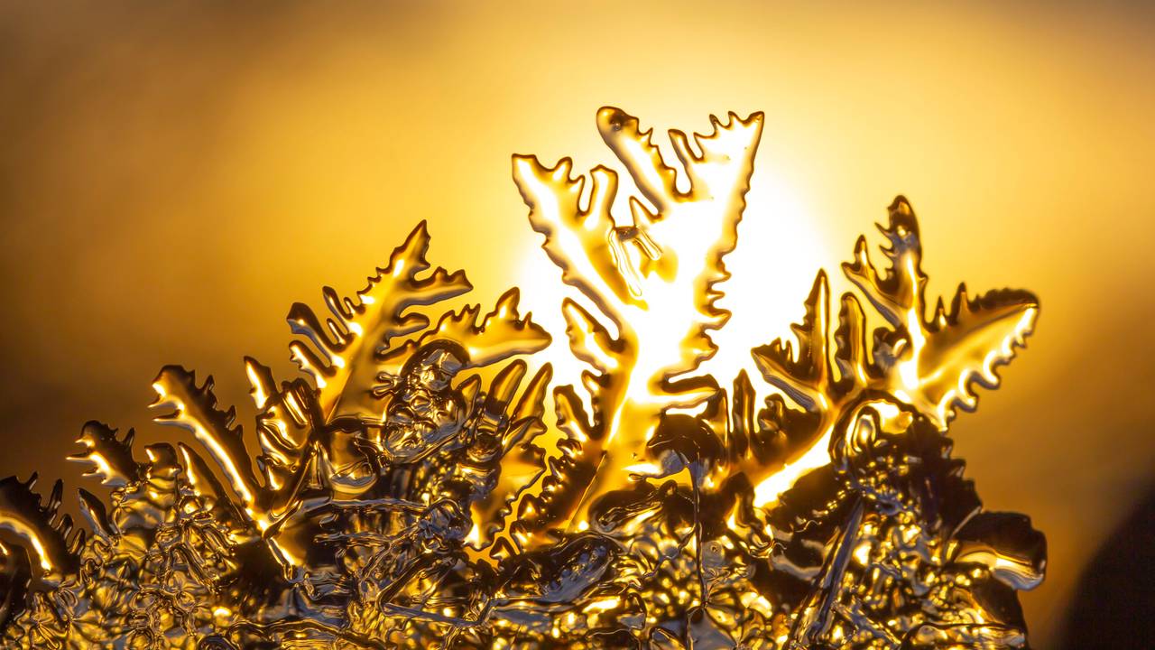 Archieffoto: Ab Donker