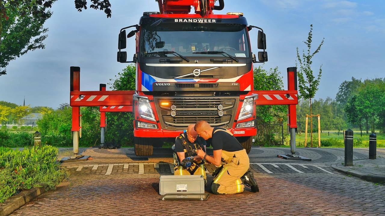 Brandweer knipt kauw uit de boom (foto: Rico Vogels/SQ Vision).