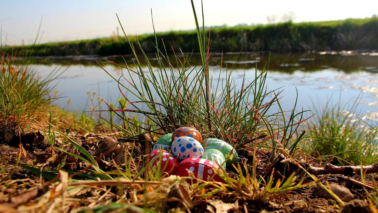 Deze eieren zijn alvast verstopt (foto: Jolanda Pelkmans).