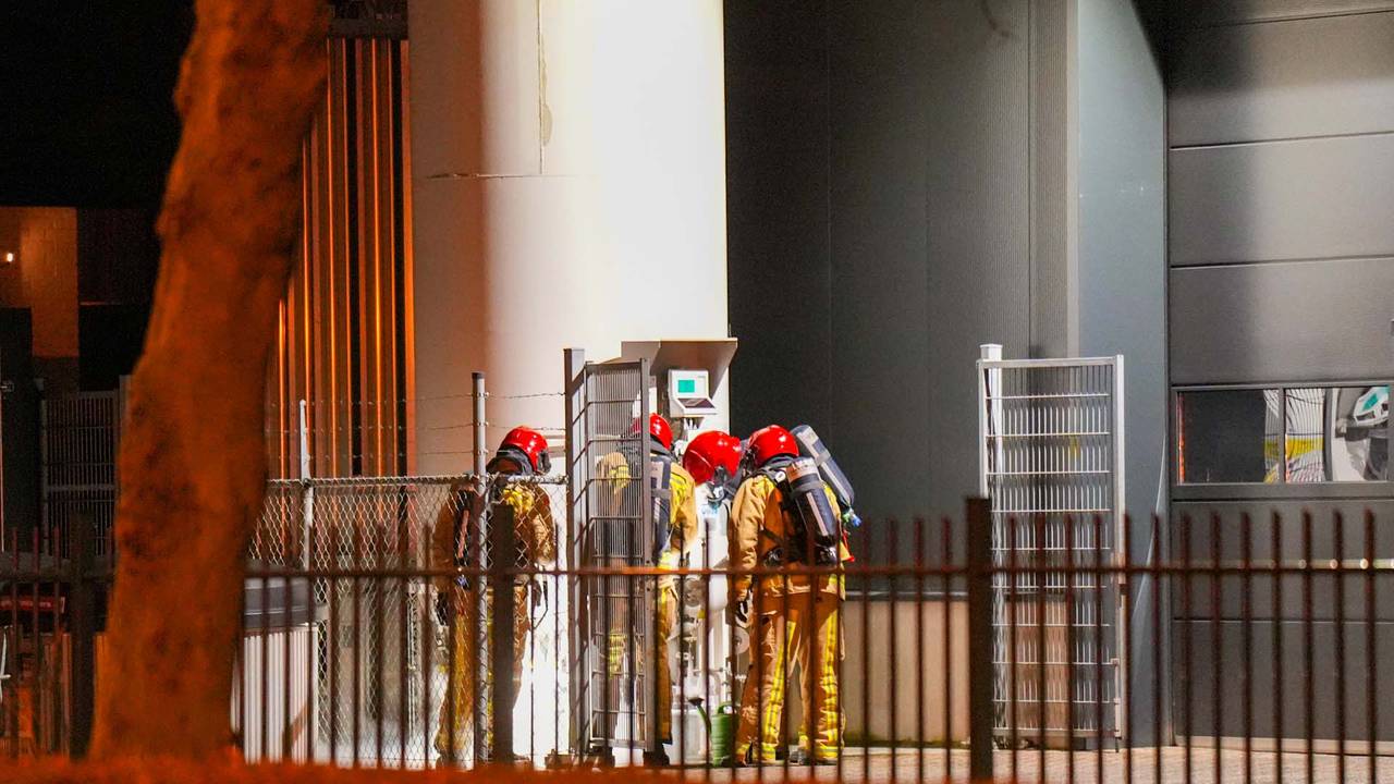 Foto: Harrie Grijseels/SQ Vision