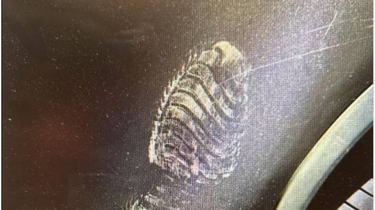 Foto: Instagram politie Best-Oirschot