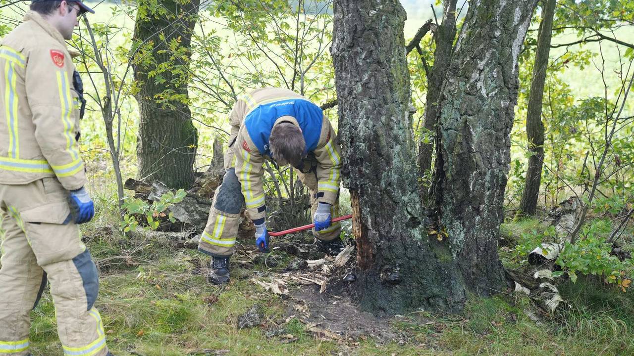 De brandweer verwijderde extra boomschors om er zeker van te zijn dat het vuur volledig uit was (foto: WdG/SQ Vision).