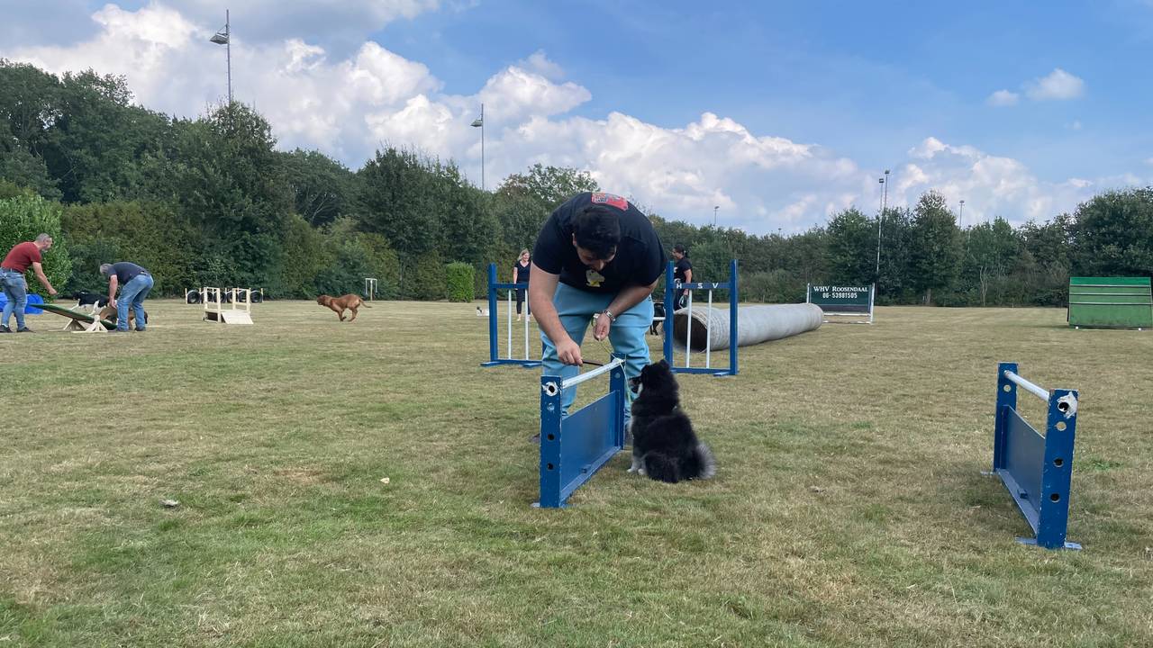 In Roosendaal is de eerste hondenspeelplaats van Brabant