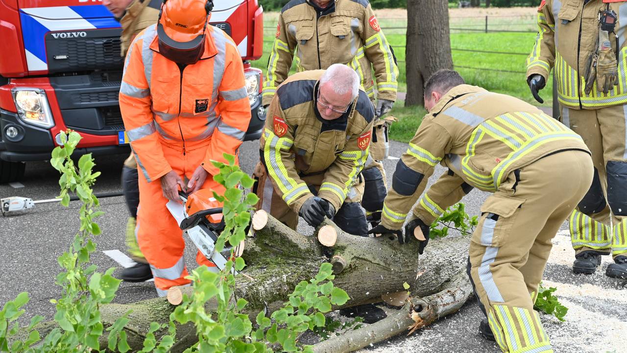Grote omgewaaide boom versperd de weg (foto: Perry Roovers/SQ Vision).