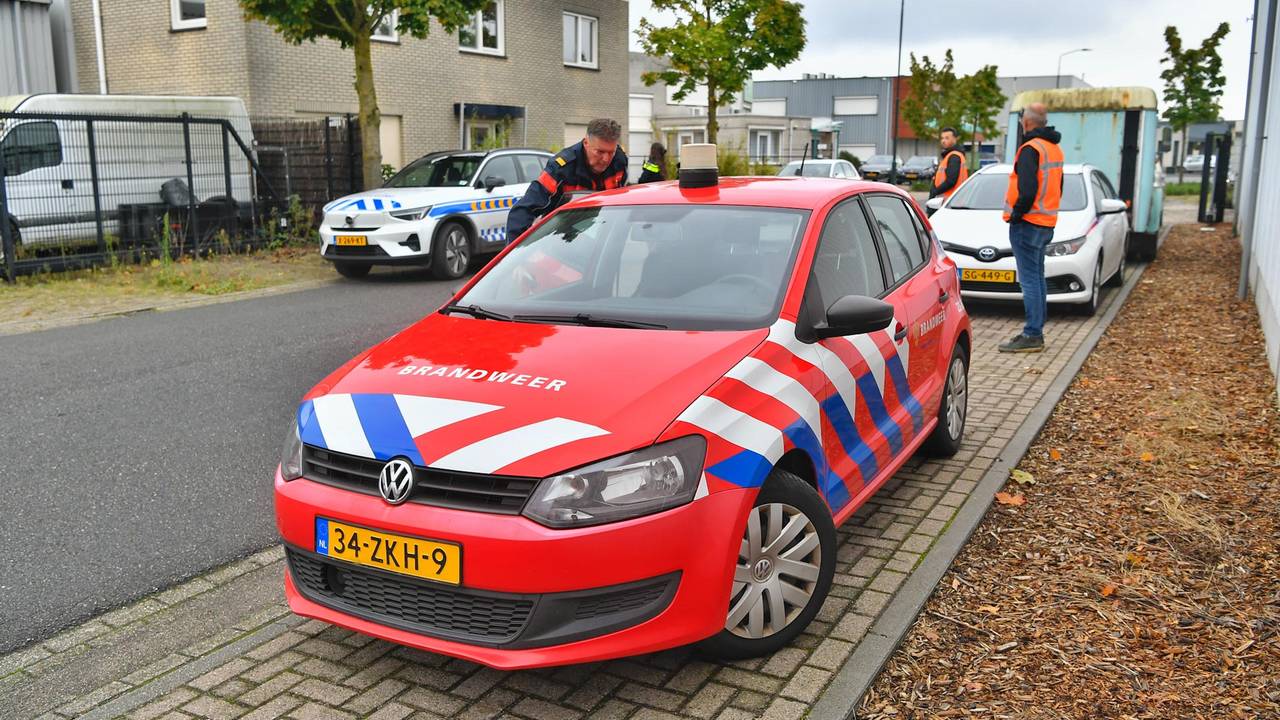 Foto: Rico Vogels / SQ Vision