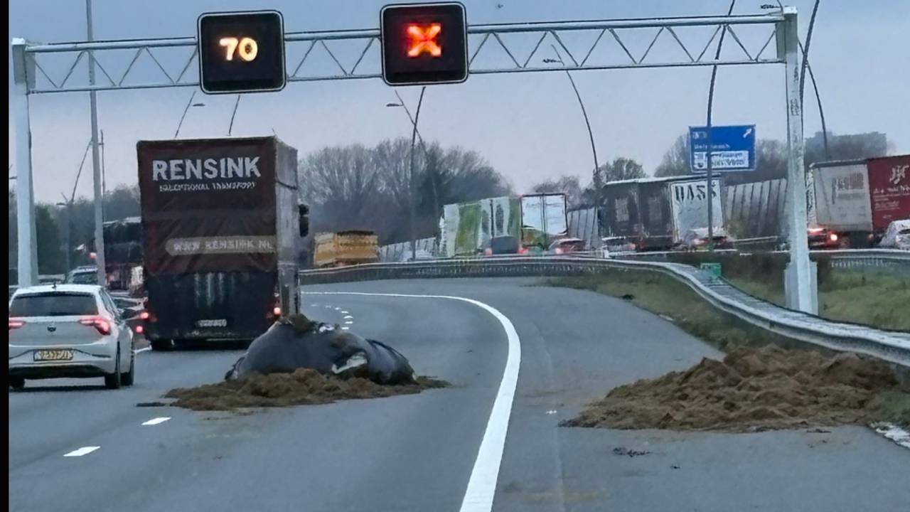 Foto: wis_robertvda/X.