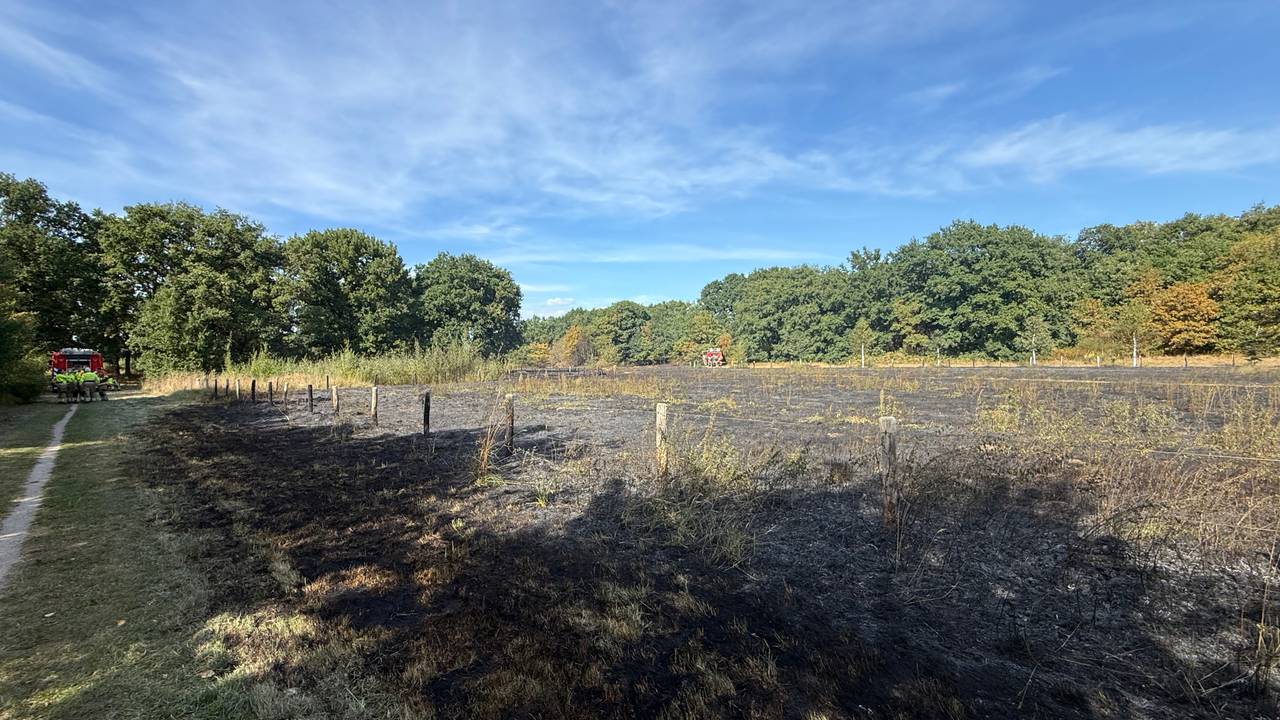 De natuurschade in beeld (foto: Bart Meesters/Persbureau Heitink).