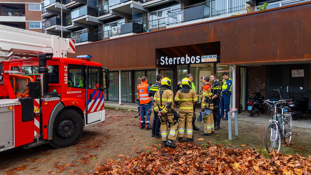 Foto: Gabor Heeres / SQ Vision