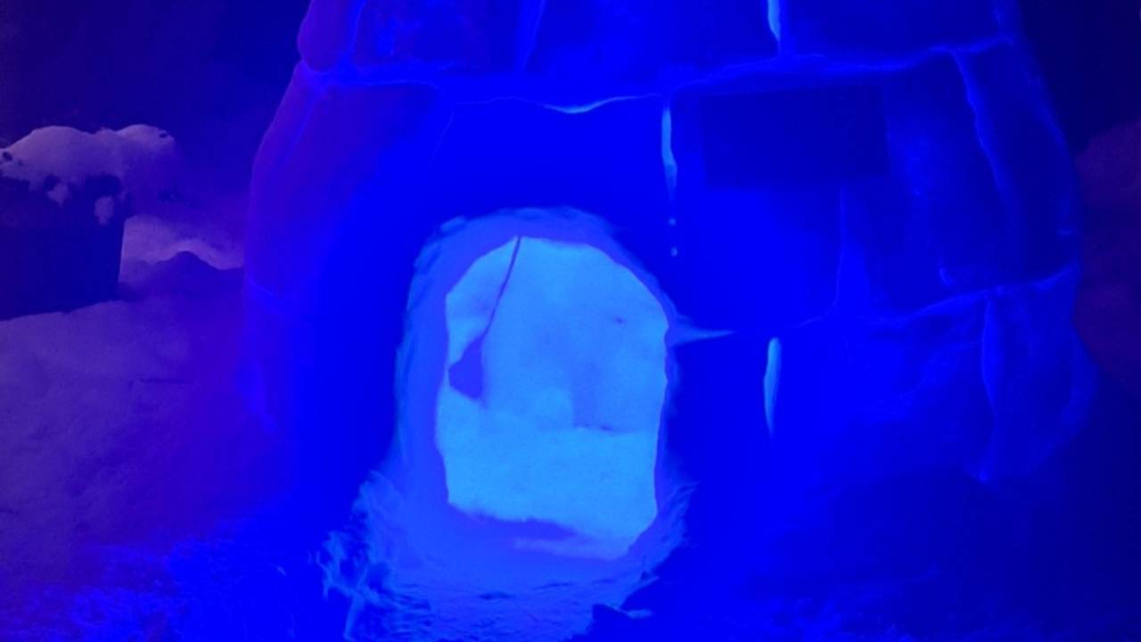 In de tuin van Mascha in Loon op Zand staat een lichtgevende iglo (foto: Mascha van Geijn).