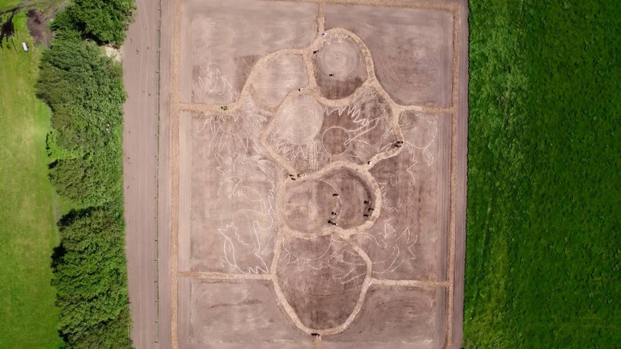 Het patroon is al duidelijk zichtbaar (foto: House of Motion Breda/Van Gogh Nationaal Park).