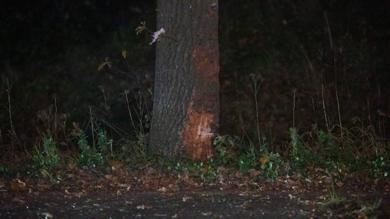 De automobilist raakte door nog onbekende oorzaak een boom naast de weg (foto: Christian Traets/SQ Vision).