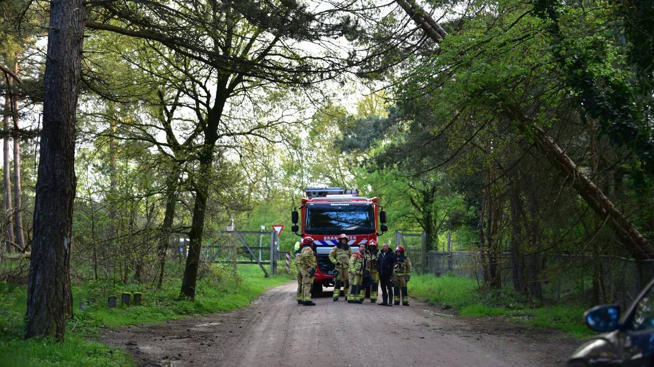 De bomen stonden op omvallen (foto: SQ Vision/Johan Bloemers).