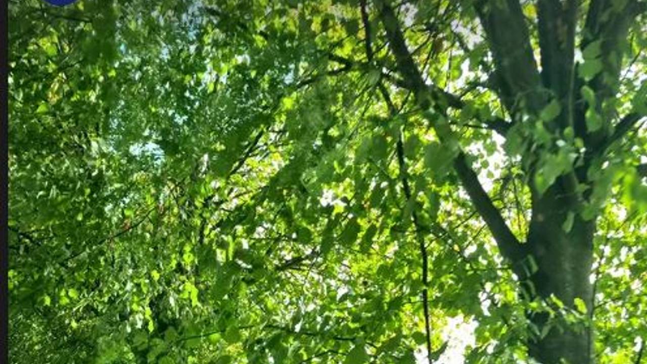 Foto: Instagram politie Boxtel-Vught-Gestel