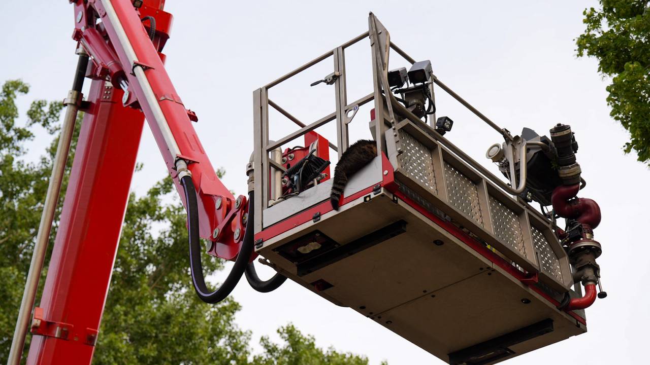 Foto: Harrie Grijseels/SQ Vision