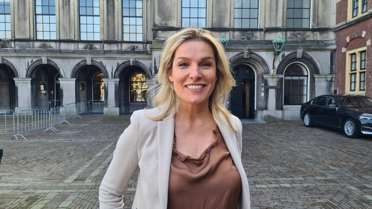 Kamerlid Lucille Werner (CDA)