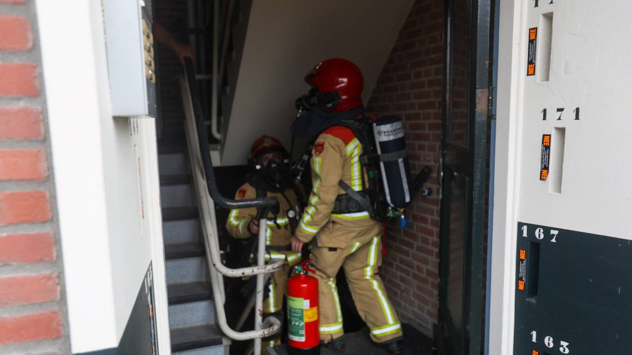 Foto: Arno van der Linden / SQ Vision 