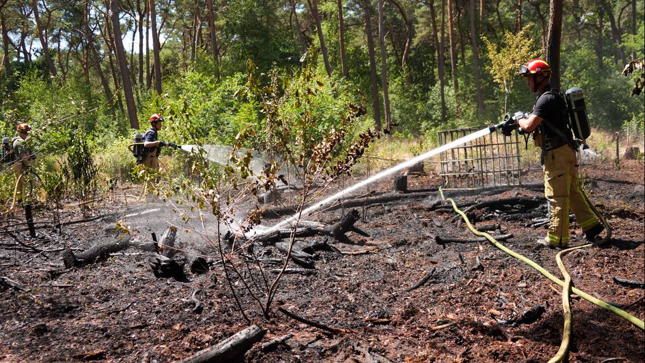 Brand in bos bij Handel (Harrie Grijseels / Persbureau Heitink).