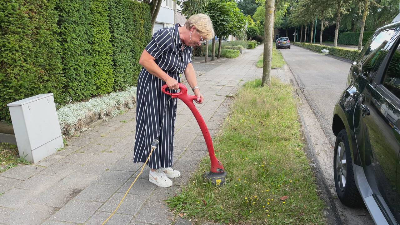Ga naar slide 3