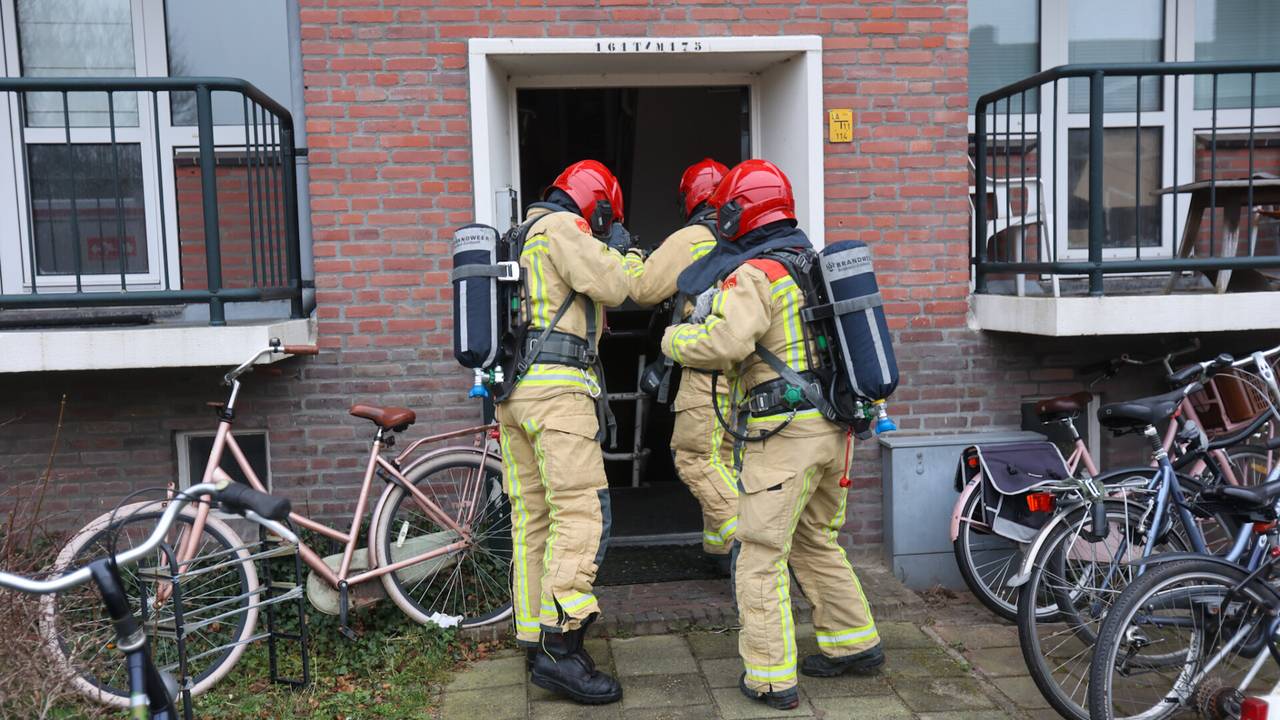 Foto: Arno van der Linden / SQ Vision 