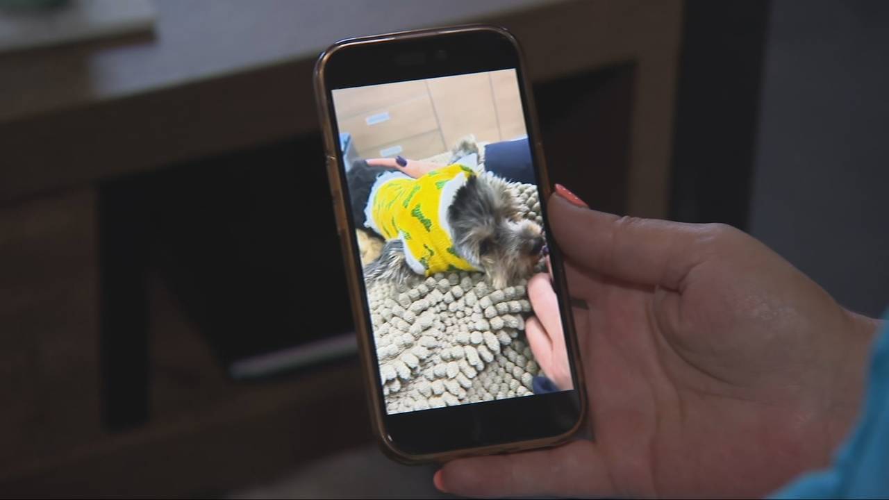 Rian verloor haar hondje Bodhi (foto: NOS).