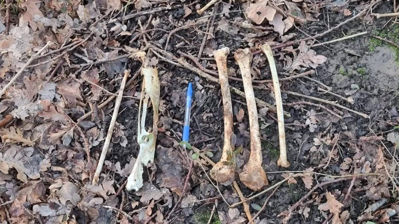 Foto: Politie Basisteam Roosendaal/Facebook.