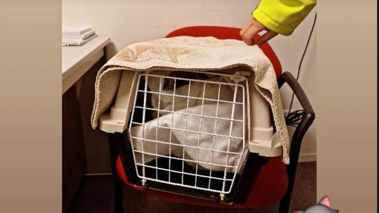 Foto: Instagram Handhaving Rucphen