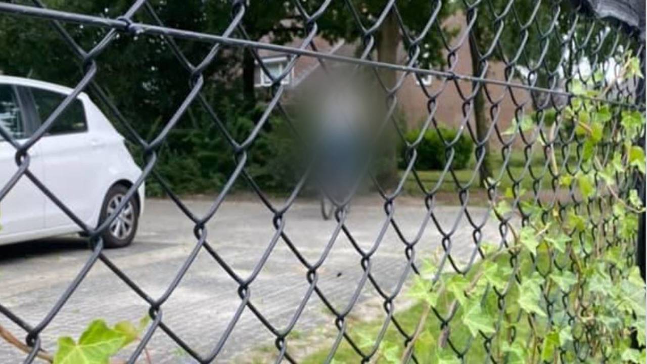 Schennispleger actief in Nuenen, foto van verdachte gaat rond - Vimarsana News