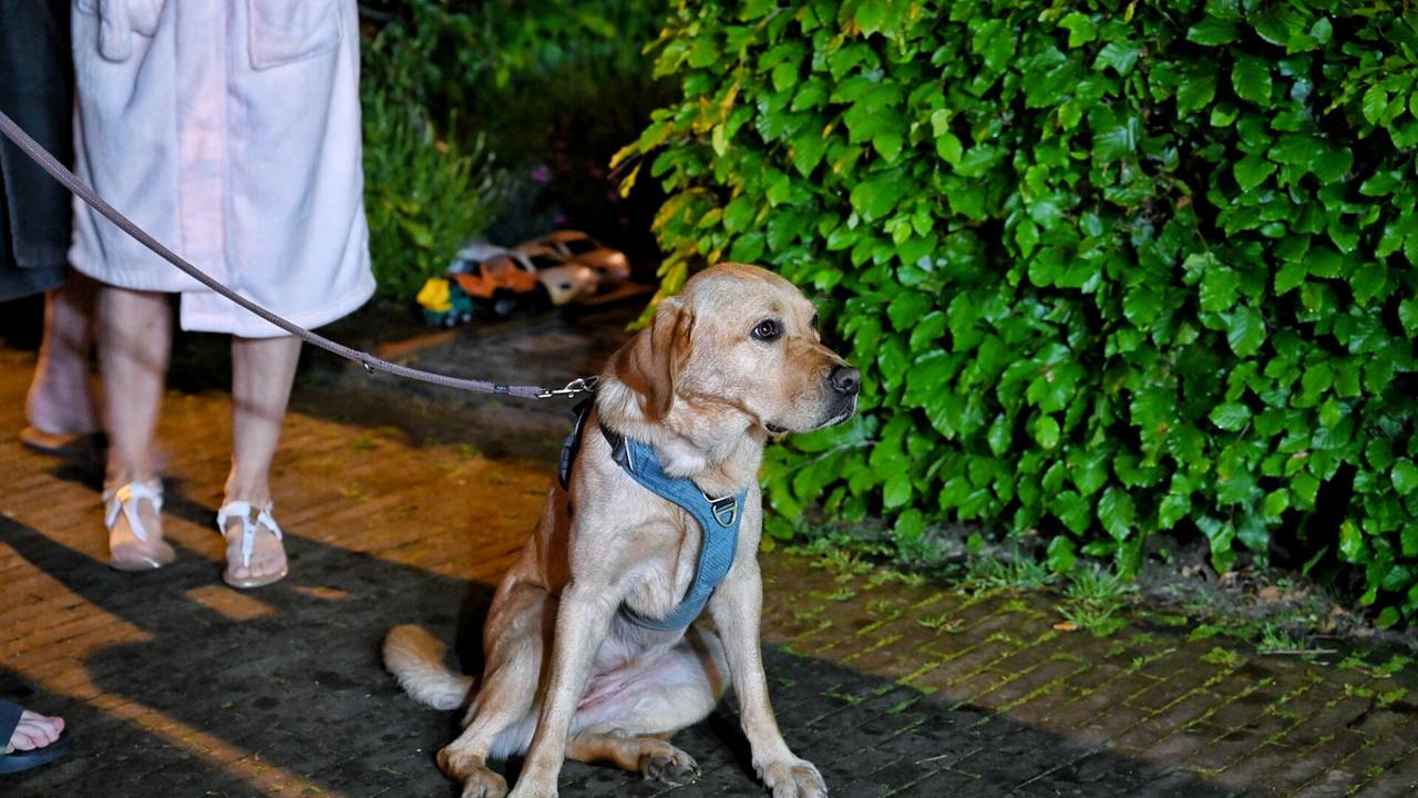 De hond merkte al dat er iets mis was voordat de brandmelders afgingen (foto: Toby de Kort/SQ Vision).