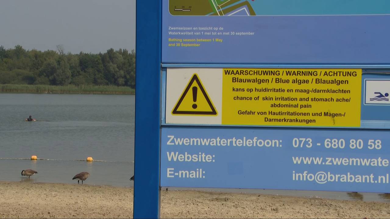 Een waarschuwingsbordje van blauwalg (archieffoto).