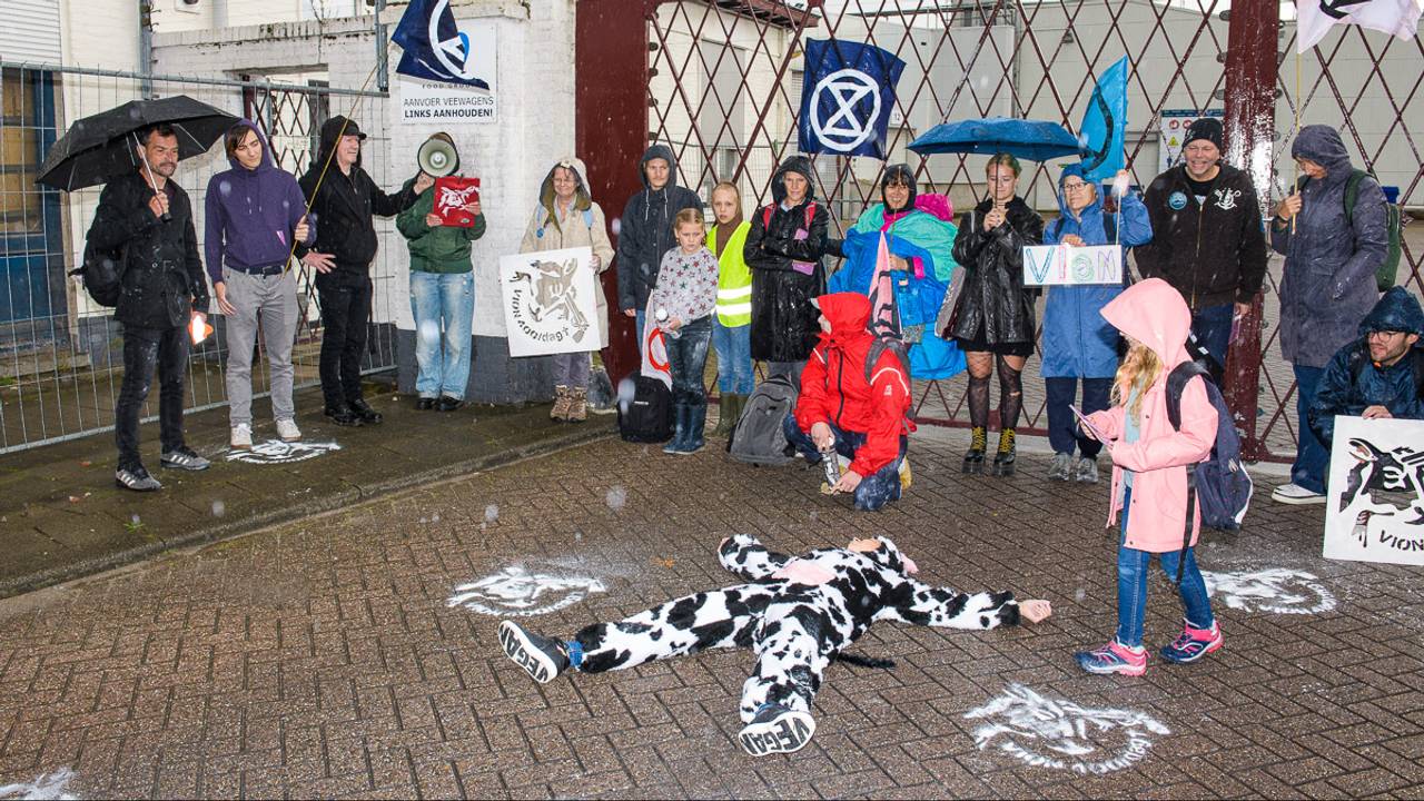 spoor-van-400-koeien-naar-slachterij-zoveel-sterven-er-hier-iedere