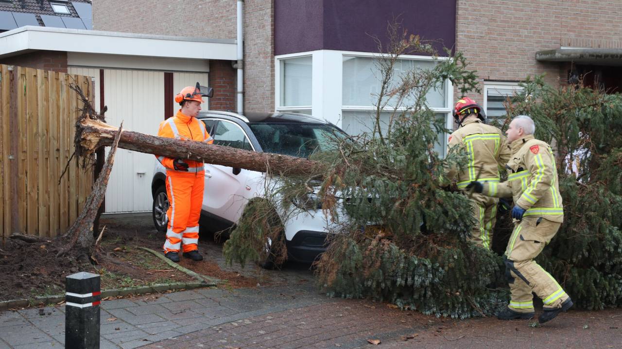 Foto: Sander van Gils/SQ Vision.