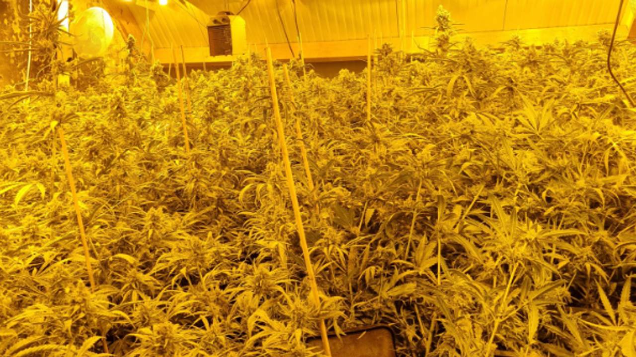 Foto: Politie_landvancuijk/Instagram.