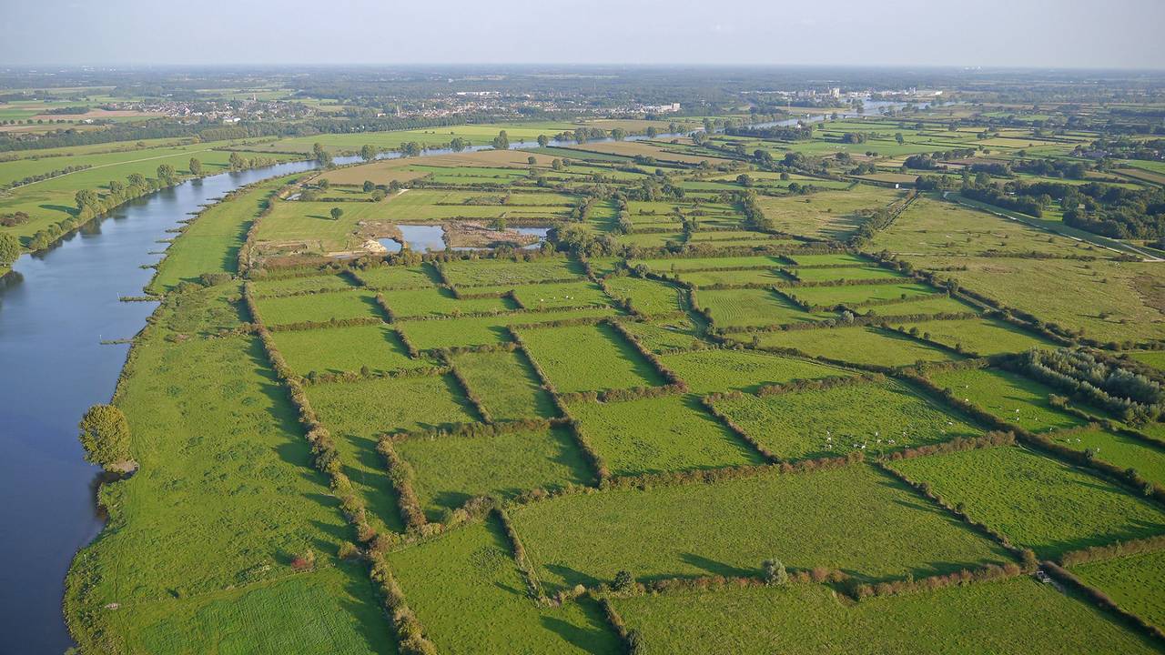 Maasheggen in de race voor Europese landschapsprijs: ‘Kers op de taart’ (foto: gemeente Land van Cuijk).