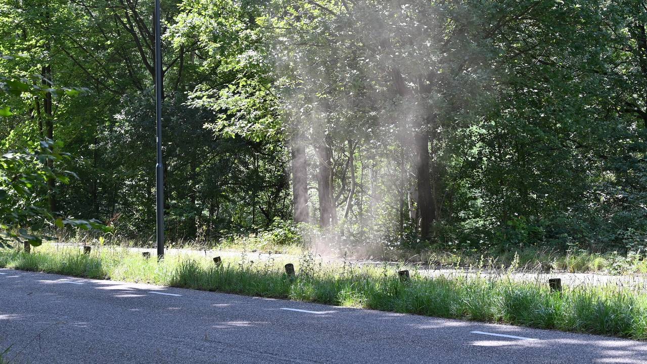 Foto: Perry Roovers / SQ Vision.