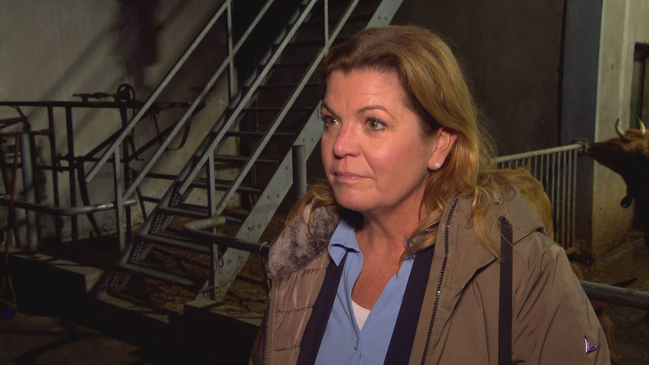 Minister Christianne van der Wal bij een biologische melkveehouderij in Brabant (Foto: Omroep Brabant).